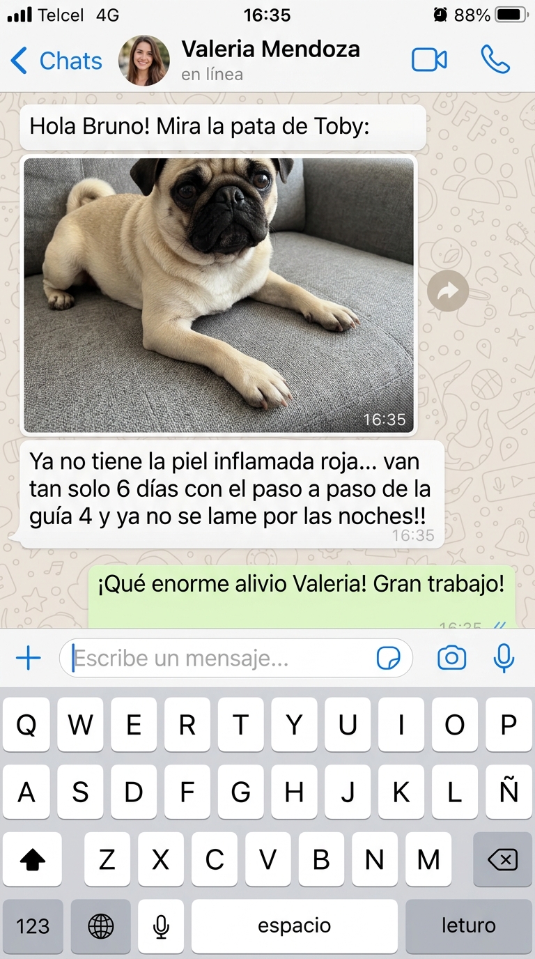 Conversa WhatsApp Valeria & Toby