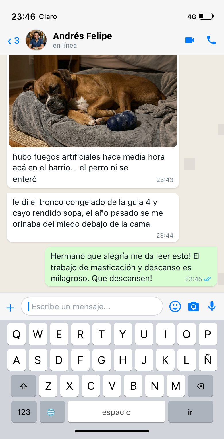 Conversa WhatsApp Andrés & Rocky