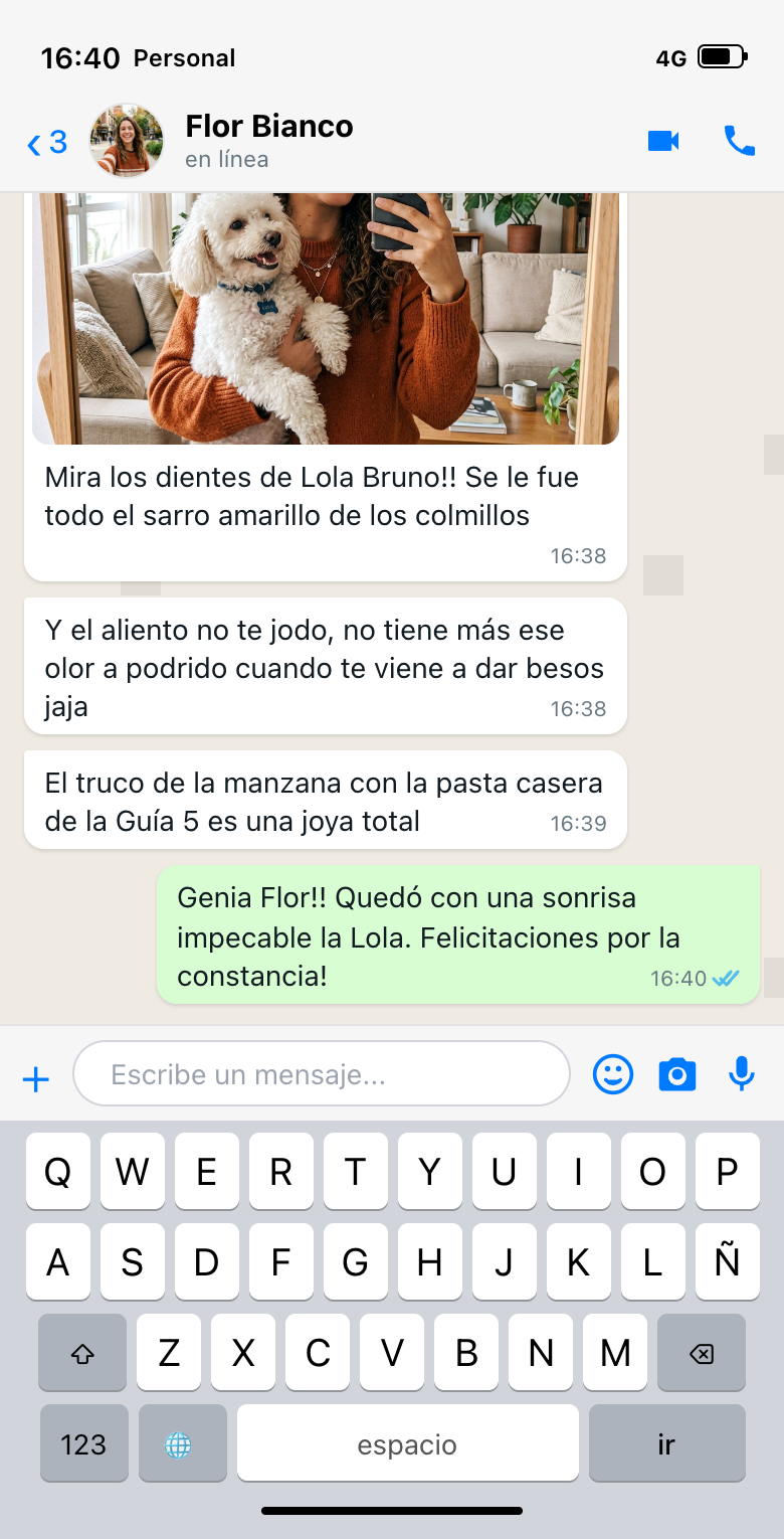 Conversa WhatsApp Flor & Lola