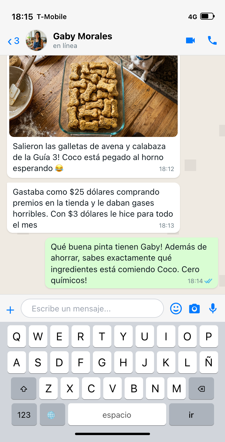 Conversa WhatsApp Gaby & Coco