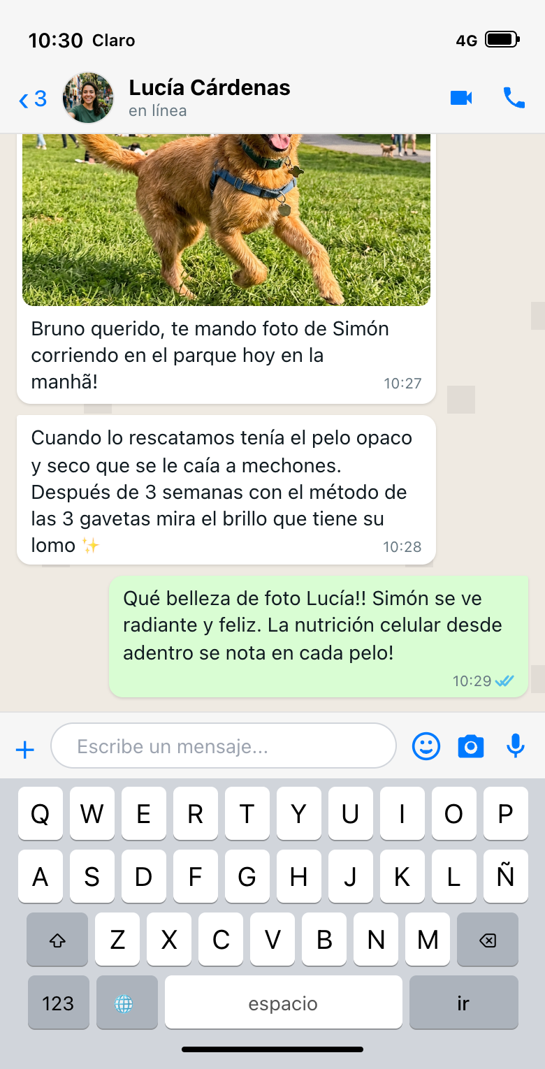 Conversa WhatsApp Lucía & Simón